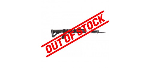 ArchAngel Conversion Rifle Stock for Ruger® 10/22 - Black